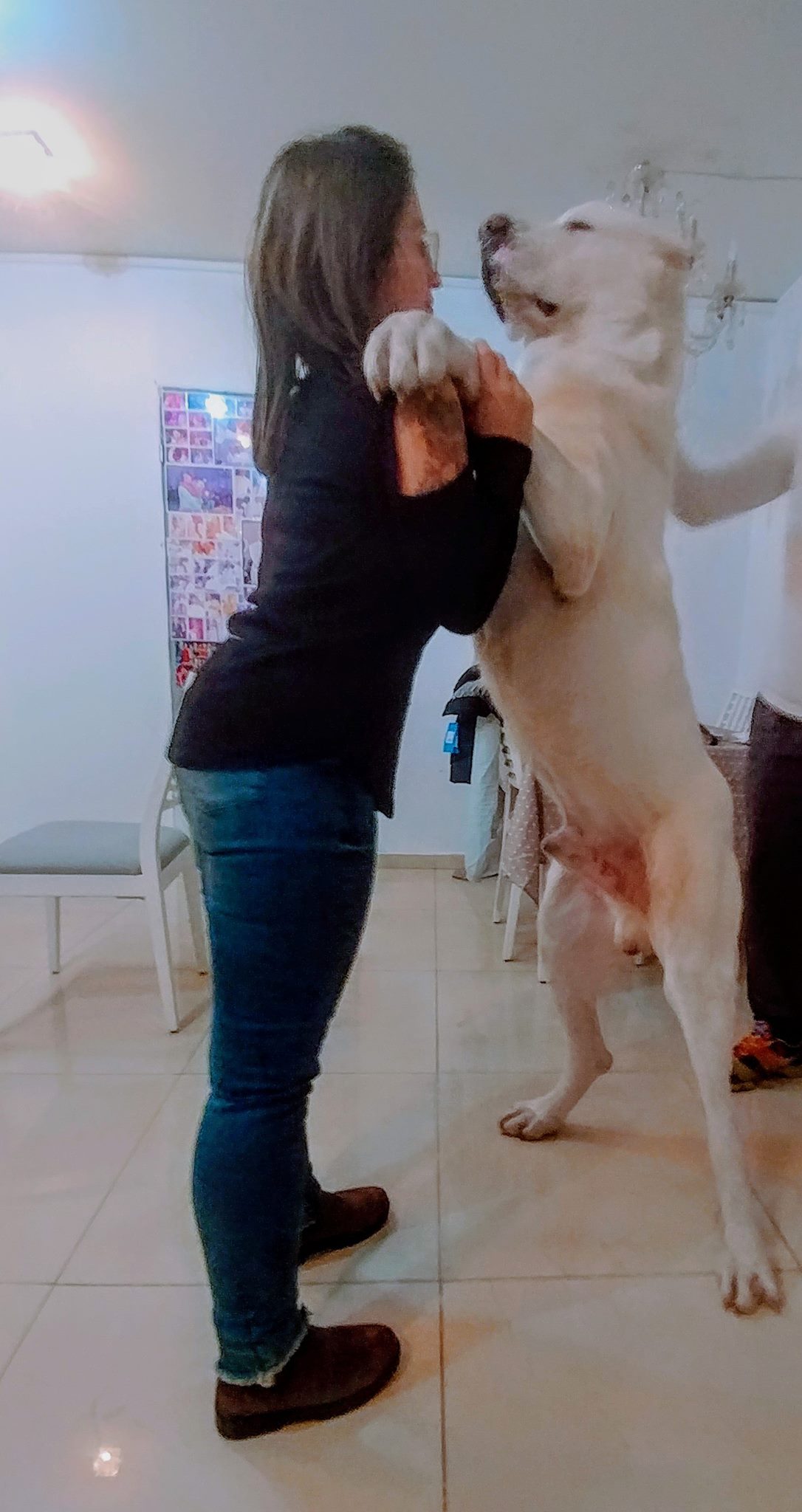 הברירה הטבעית - מזון טבעי לכלבים