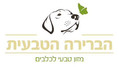 חזרה לראשי